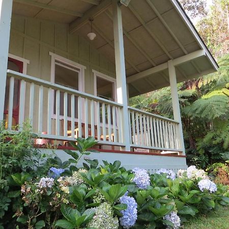 Carson'S Kaloko Mountain Cabin Kailua-Kona Exterior photo
